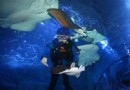 寧波海洋世界