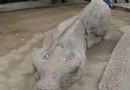 青牛石