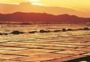 岱山島鹽主題公園