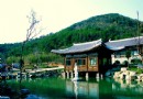 沈清園