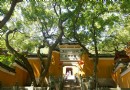 楊枝禅院