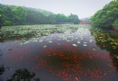 海印池