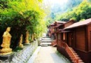 紫竹林