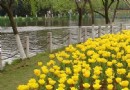 馬鞍池公園