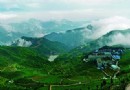 羊巖山茶文化園