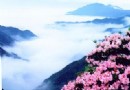 華頂國家森林公園