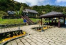 冷水坑溫泉