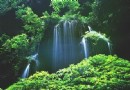 芝山文化生態綠園