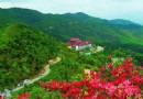 陽明山國家公園