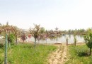 壽山公園