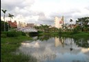 中央公園