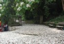 參山國家風景區