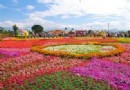 新社花海