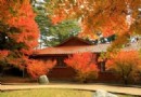 福壽山農場