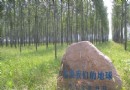 2017北京植樹節攻略