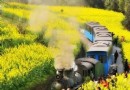 3月最值得北京人去的10個地方。
