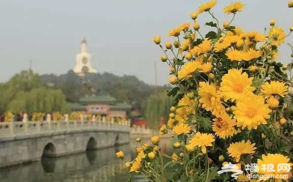 北京的秋天有什麼 除了紅葉還有這些美景[牆根網]