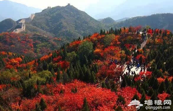 北京的秋天有什麼 除了紅葉還有這些美景[牆根網]