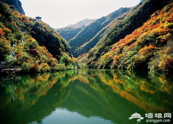 京郊秋季紅葉旅游景點 只等時機一到就出發[牆根網]