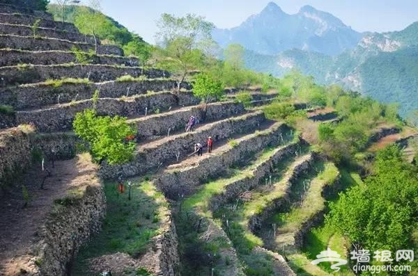 京郊竟隱藏這麼多絕美的地方 小長假挑一個走起[牆根網]