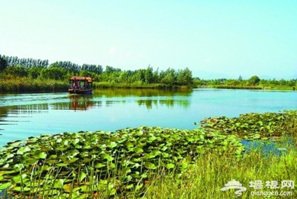 房山4處清涼地 盡享暢快夏日[牆根網]