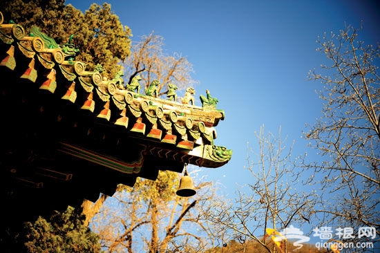 北京之源:古剎潭柘寺賞秋攻略