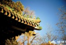 北京之源：古剎潭柘寺賞秋攻略