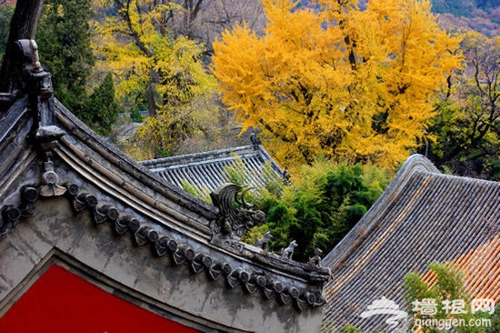 北京之源:古剎潭柘寺賞秋攻略