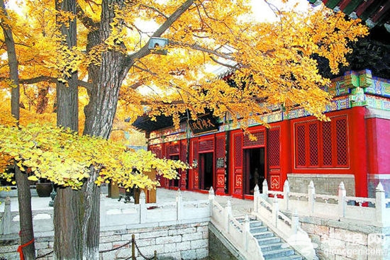 北京之源:古剎潭柘寺賞秋攻略