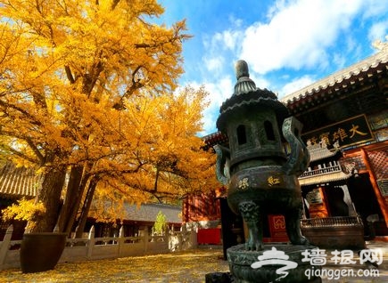 北京之源:古剎潭柘寺賞秋攻略