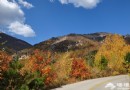 京西已漫山紅遍 再不去就看不到啦