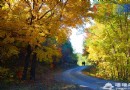 2014北京入秋賞紅葉 京城紅葉哪裡紅