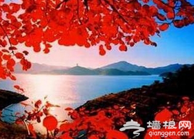 愛在初秋 北京18大紅葉觀賞地[牆根網]