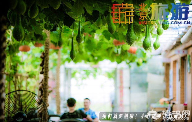 京郊密雲天葡莊園——都是葡萄惹的禍