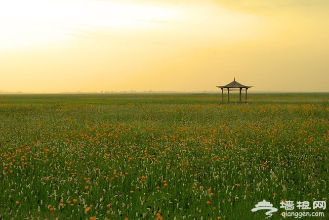 離北京最近的優美草原超實用周末度假攻略 炎炎夏熱 奔向廣闊草原 