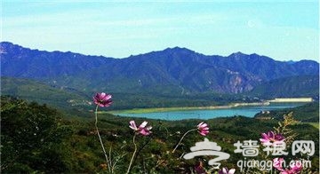 北京周邊釣魚好去處 隱在青山綠水間[牆根網]