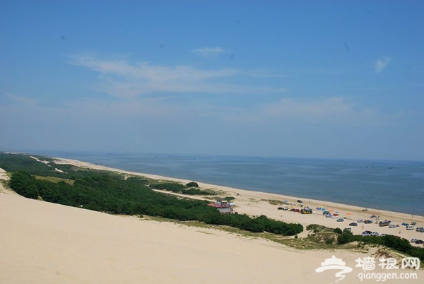 暑假一起盛夏聽濤 盡享海濱夏日風情