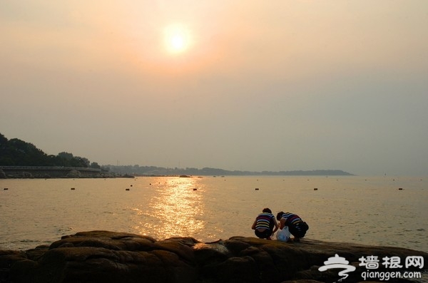 暑假一起盛夏聽濤 盡享海濱夏日風情