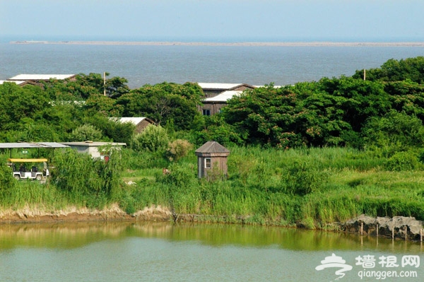 暑假一起盛夏聽濤 盡享海濱夏日風情