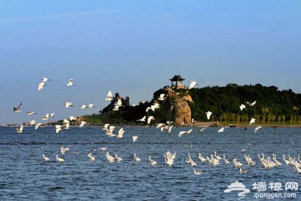 暑假一起盛夏聽濤 盡享海濱夏日風情