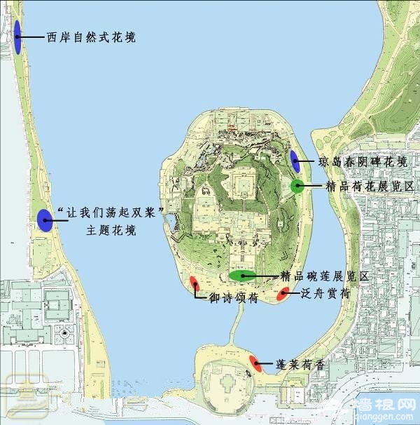 北海公園賞荷花 看蓬萊仙境的優雅景致