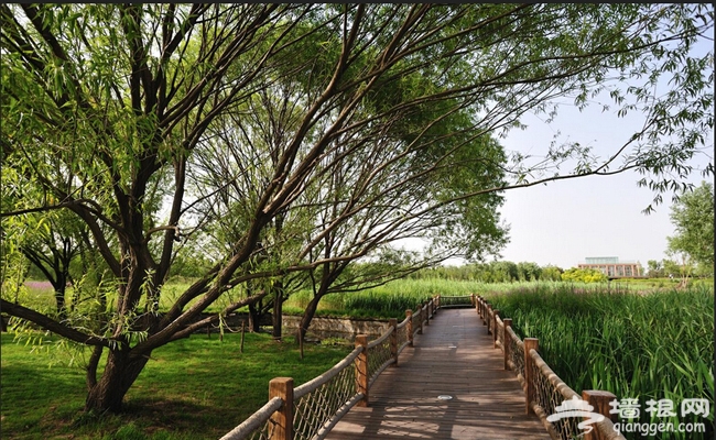 2014夏日清涼去哪玩 北京奧林匹克森林公園