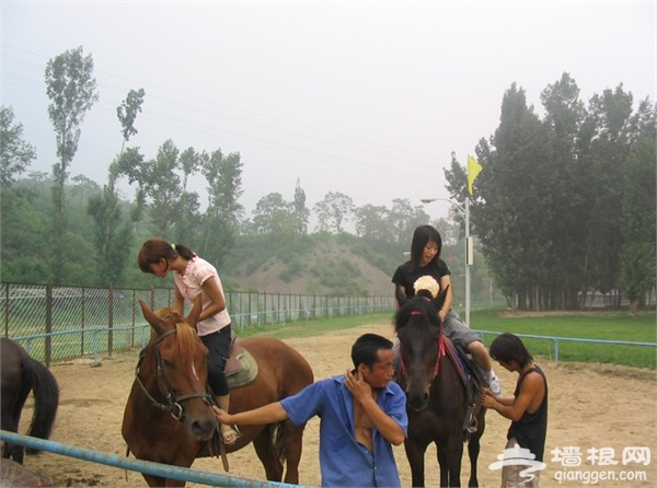 6月去哪兒玩 盤點北京周邊騎馬的地方[牆根網]