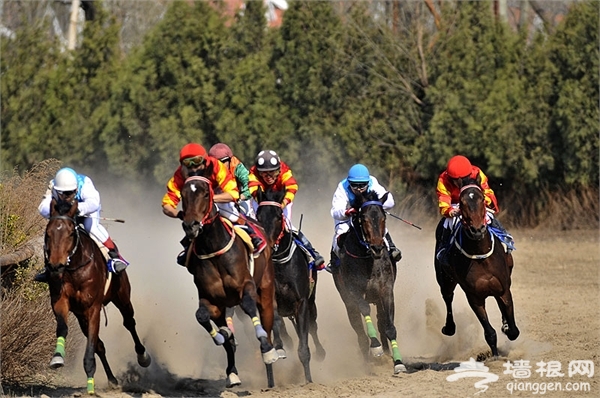 6月去哪兒玩 盤點北京周邊騎馬的地方[牆根網]