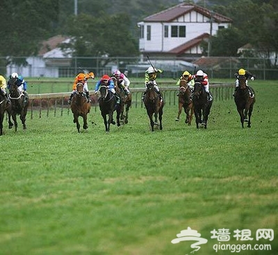 6月去哪兒玩 盤點北京周邊騎馬的地方[牆根網]