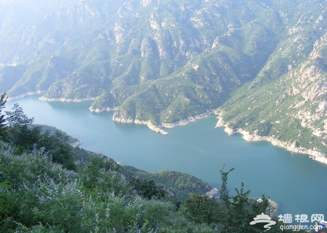 帶著寵物去旅行 懷柔龍湖居享唯美時光