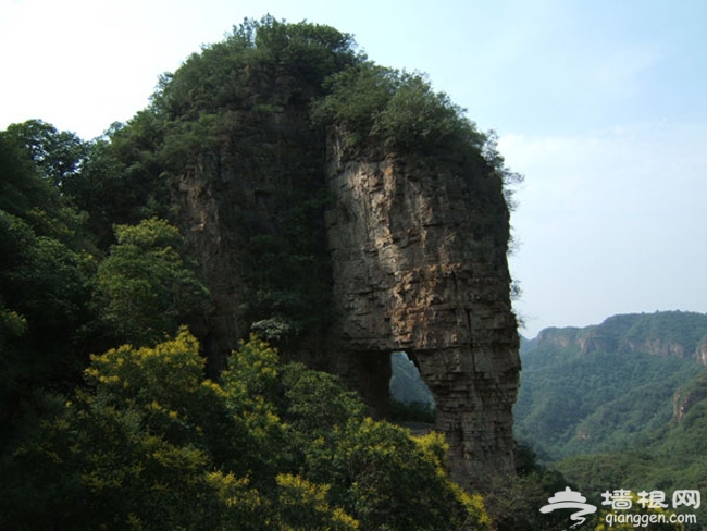 帶著寵物去旅行 平谷樂和仙谷去撒歡