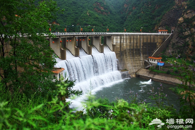 帶著寵物去旅游 北京可以帶狗狗玩的地方大集合!