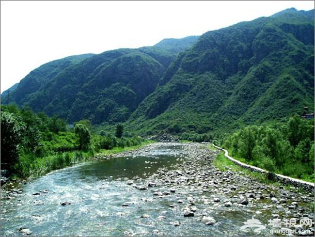 帶著寵物去旅游 北京可以帶狗狗玩的地方大集合!