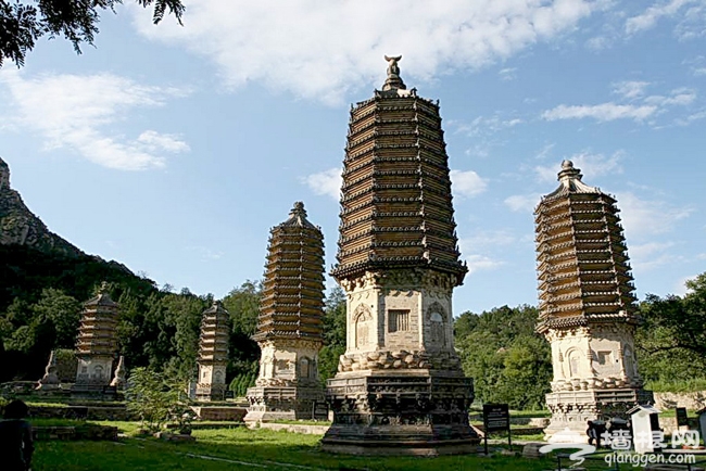 帶著寵物去旅游 北京可以帶狗狗玩的地方大集合!